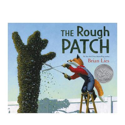 【现货】粗糙的补丁 the Rough Patch英文进口原版儿童绘本图书Brian Lies-自我认知/情绪管理