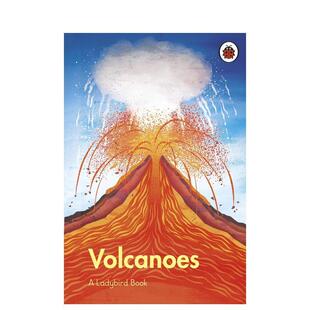 Ladybird Book 儿童图书9 火山Volcanoes 英文青少年读物进口原版 12岁Ladybird 预售