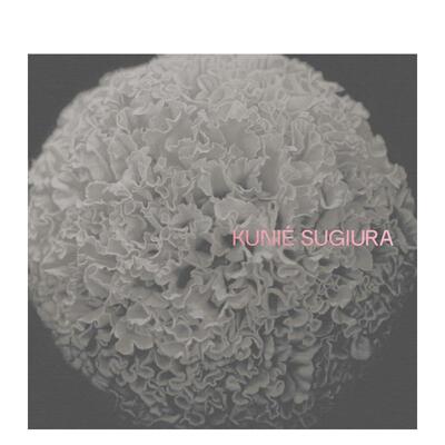 【现货】杉浦邦惠 Kunié Sugiura 原版进口英文艺术画册画集Tacita Dean外文图书籍MACK