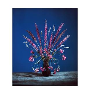 花 Flowers for 摄影作品集外文图书Brendan 献给比娅 Bea英文进口原版 Barry 预售