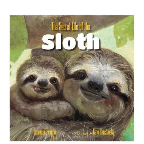 树懒的秘密生活 The Sec