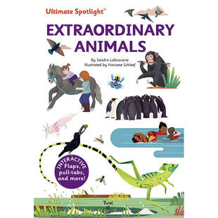 Ultimate 图书籍进口正版 Spotlight 动物超能力 英文原版 Extraordinary Animals 儿童趣味 极致焦点翻翻立体书 现货