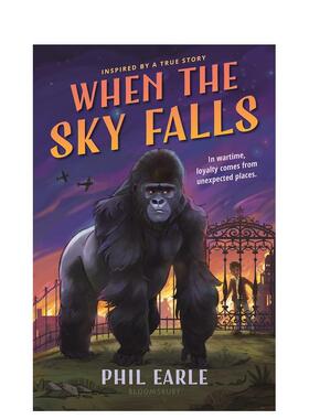 【现货】【入围2022卡内基文学奖】当天空坠落【美版】 When the Sky Falls 英文进口原版青少年读物儿童图书Phil Earle9-12岁