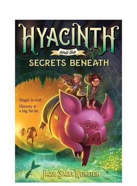 【现货】风信子和秘密贝尼娅 Hyacinth And The Secrets Benea 英文进口原版儿童故事图书Sager Weinstein  Jacob