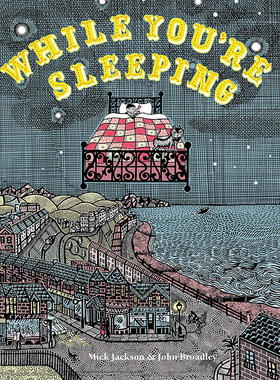 【现货】 While You’re Sleeping，【2021纽约时报十佳绘本】孩子,当你沉睡时 英文原版图书进口正版 儿童益智启蒙绘本