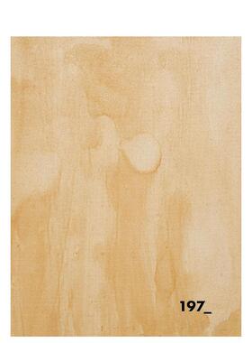 【现货】Excavation : A Journey Through Loss，挖掘：Jason Paul Reime 摄影-综合作品 Daylight Books