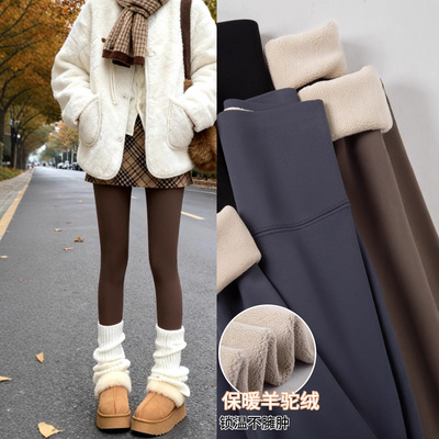 加绒鲨鱼裤女外穿冬季加厚棉裤羊羔绒紧身瘦腿瑜伽大码保暖打底裤