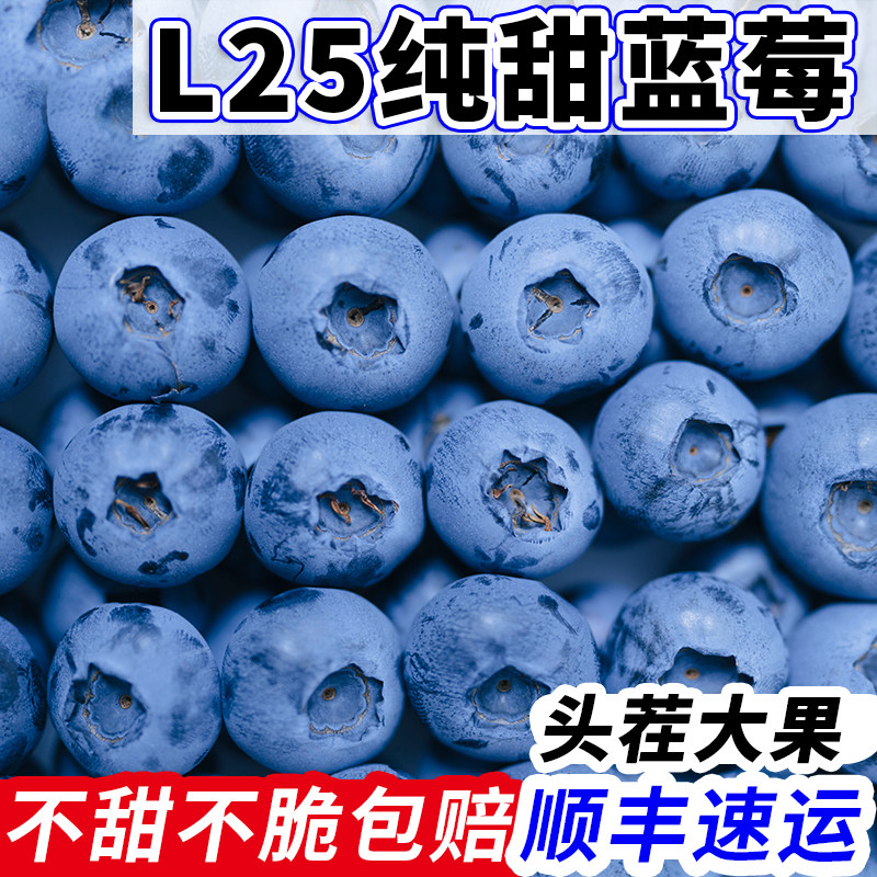 高山花香蓝莓鲜果新鲜孕妇水果当季怡颗L25大果云南整箱包邮顺丰