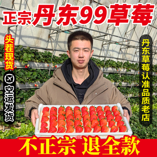 丹东99草莓新鲜现摘九九大甜牛奶红颜孕妇当季水果黑金礼盒装包邮