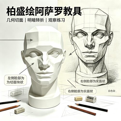 柏盛绘阿萨罗头部参考模型石膏像艺术教学展示架结构清晰比例准确