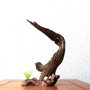 千年胡杨风化老木原木随形根艺摆件自然禅意艺术创意家居收藏饰品