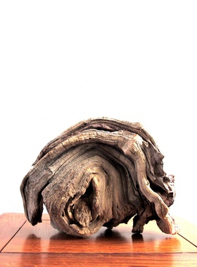 天然风化陈化沉水木枯木整体随形根雕根艺摆件家居新中式软装饰品