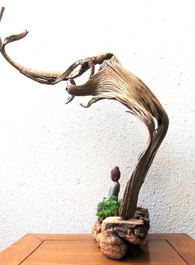 千年胡杨风化老木原木随形根艺摆件自然禅意艺术创意家居收藏饰品