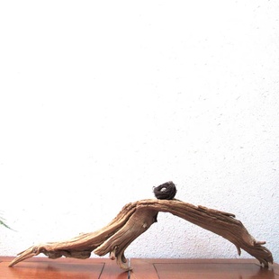 千年胡杨风化枯木朽木根艺随形摆件自然禅意创意家居软装饰品搭配