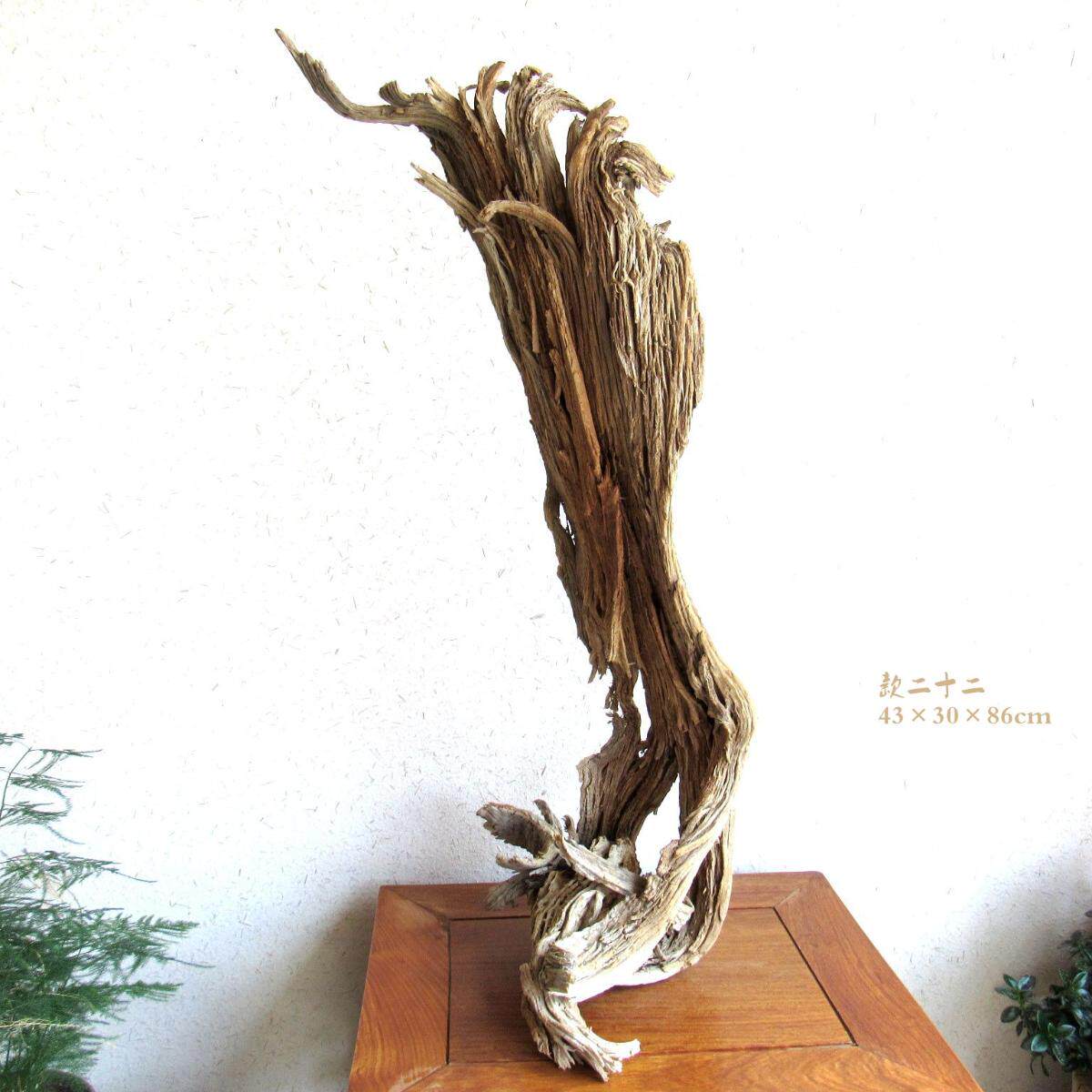 千年胡杨老木风化枯木根艺根雕整体随形摆件自然生态创意家居软装