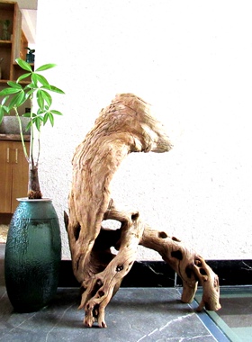 千年胡杨风化老木原木随形根艺摆件自然禅意艺术创意家居收藏饰品