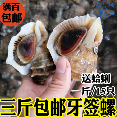 海螺鲜活海鲜便宜美味