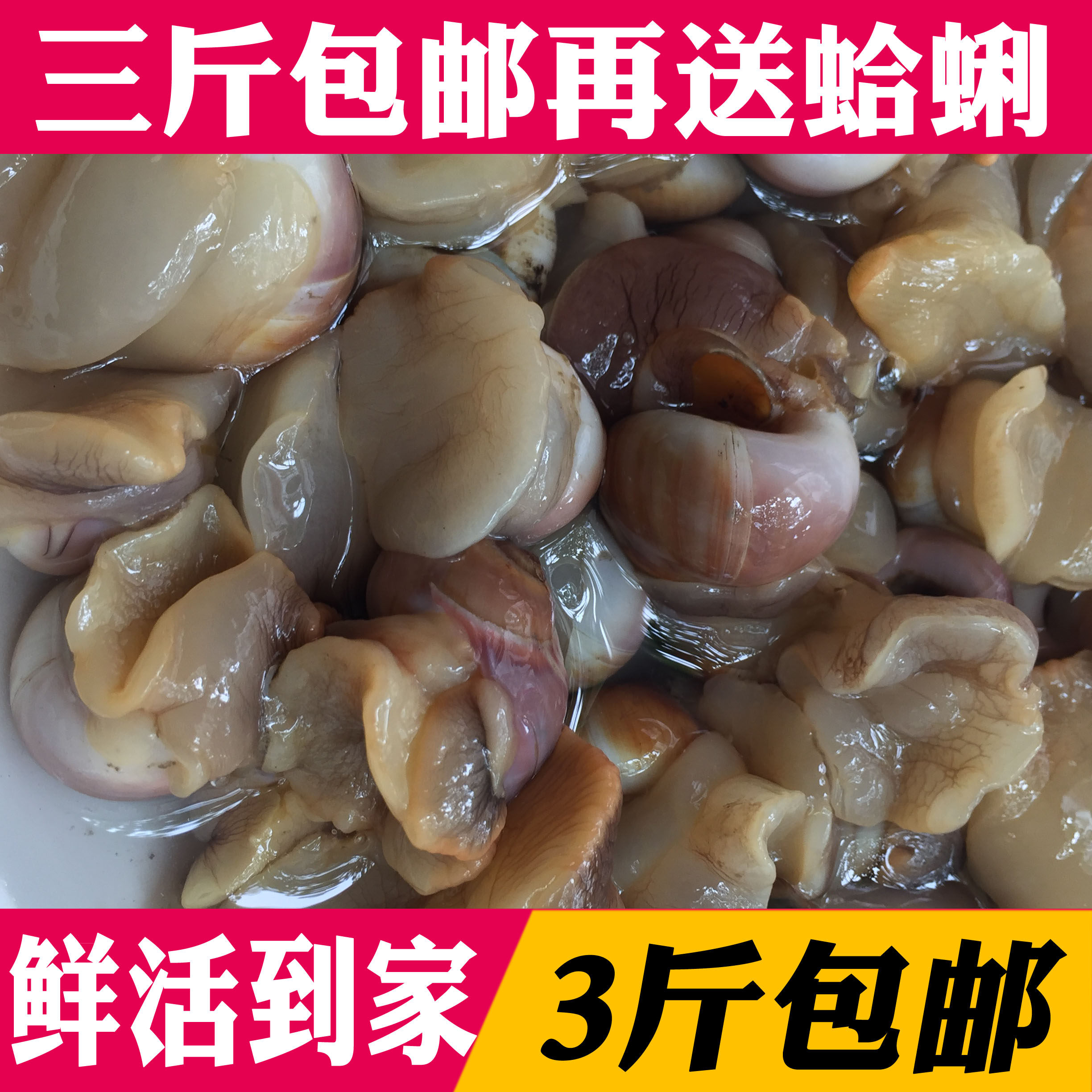 海鲜香螺野生新鲜红香螺小香螺甜螺黄香玉螺肚脐螺18元/250克