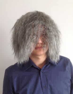 Perruque OTHER   Harsh pelucheux confirme - Ref 2609144 Image 1