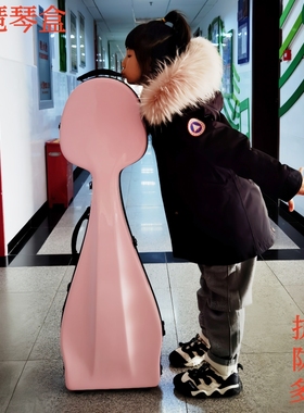 高档玻璃钢琵琶盒带轮子防震耐摔抗压日用托运碳纤维硬体琵琶琴盒