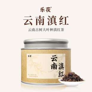 小罐云南滇红茶古树红茶2025茶叶新茶正品送礼自己喝浓香型品鉴装