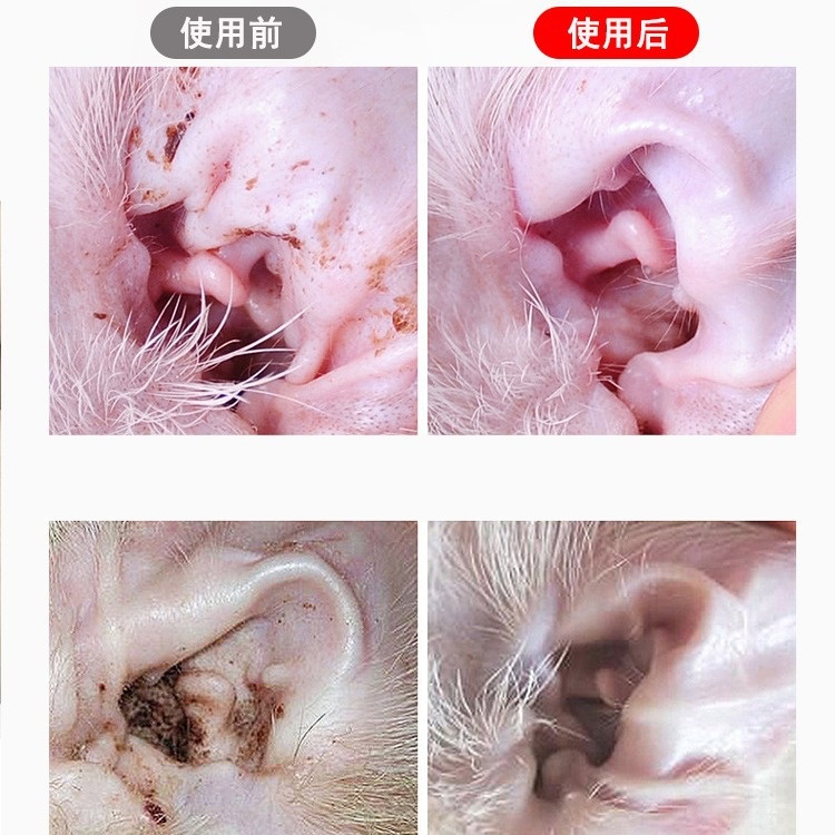 狗狗猫咪深层精油棉签宠物耳道耳垢清洁棒50支洗耳用品通
