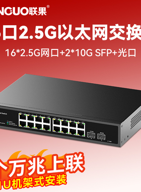 联果16口2.5G交换机万兆上联+2个10G光口 6KV防雷即插即用机架安装以太网分线器网络电脑网吧电竞NAS监控专用