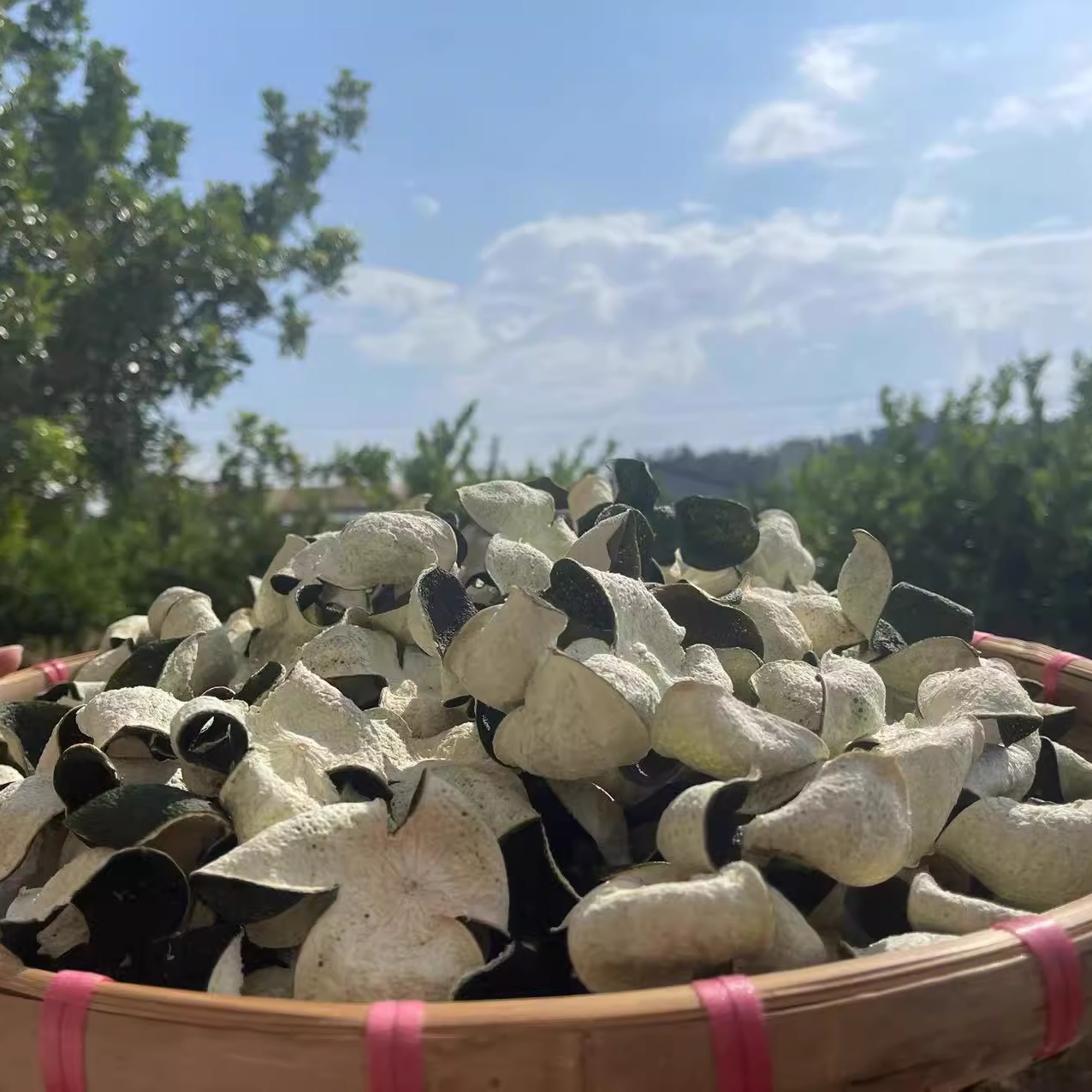 2025年新会陈皮青皮二红皮正宗特产茶枝柑鲜果干大红皮清香味十足