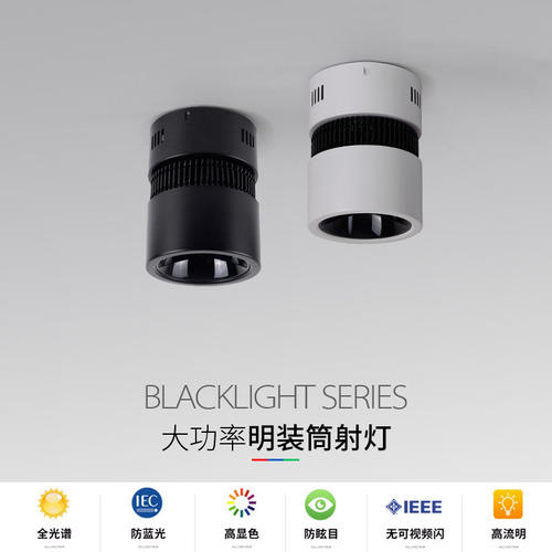 明装射灯圆形100w150大瓦