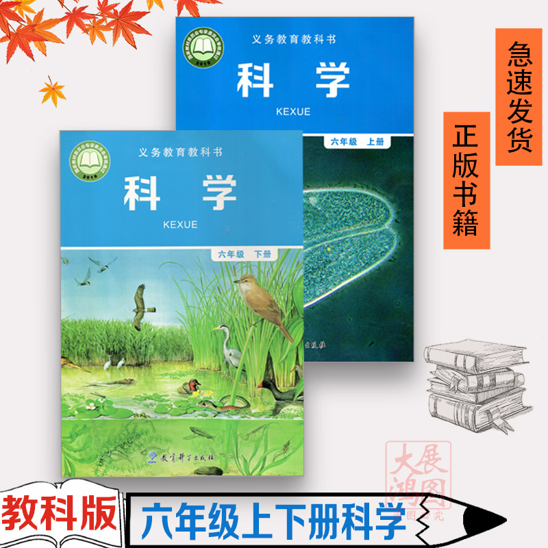 教科版六年级上下册科学书