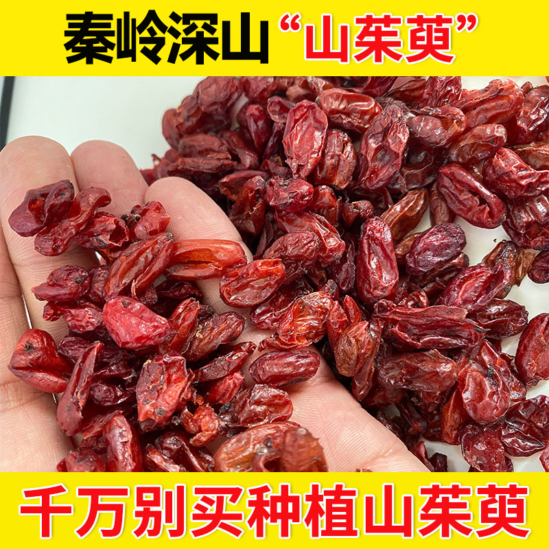 秦岭山茱萸正品茶水喝