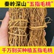 深山五指毛桃根500g官方正品 非特级五爪龙搭土茯苓芡实煲汤原材料