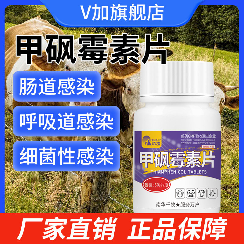 兽用甲砜霉素片畜禽鸡猪肠道呼吸道细菌感染药抗生素正品