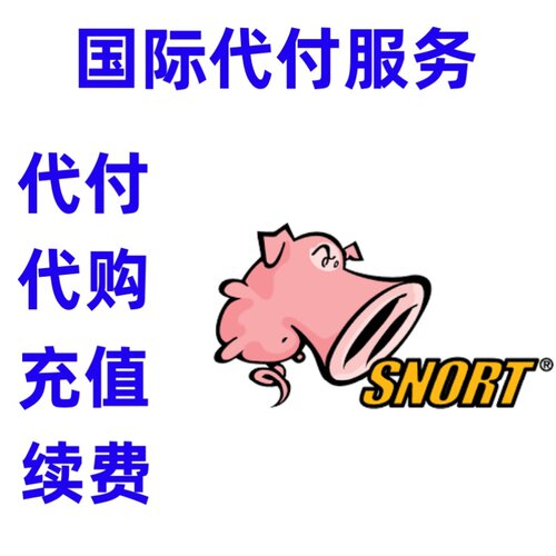 缴费 Snort 付缴费款 Snort 订阅注册续费充值