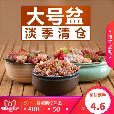 特大号多肉植物花盆器多肉花盆粗陶绿植物创意塑料大口径拼盘陶瓷