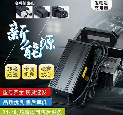 新能源电动四轮车三元铁锂充电器