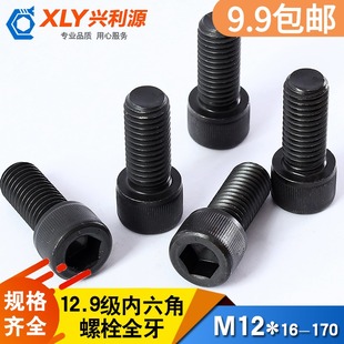 M12内六角螺栓全牙12.9级高强度内六角螺丝杯头加长M12 16—170