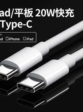 能适 适用ipad充电线ipadpro双Typec数据线苹果2021充电器线mini5快充2020Air4电脑PD2018平板6专用pro双tec