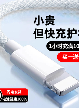 能适适用iPhone16数据线15promax正品14苹果13充电线17器PD20w手机11快充8p车载iPad平板12闪充2米原7plus装x