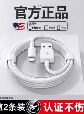 能适USB数据线快充适用苹果14promax充电线iPhone13Pro闪充12/11手机pd20W加长2米ipad平板plus充电器线速冲
