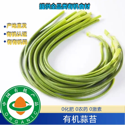 新鲜有机蒜苔有机青蒜薹