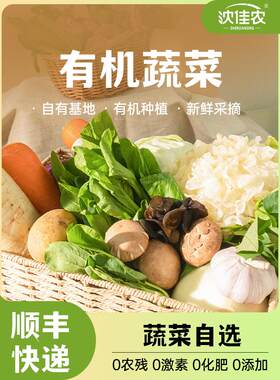 有机蔬菜5斤自选包，蔬菜种类自选，现摘现发，天然生态有机生鲜