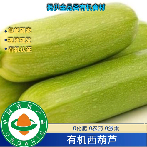 有机西葫芦有机茭瓜无农残
