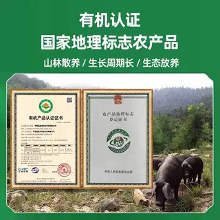 有机认证+地理标志沂蒙山有机黑猪肉产地现宰现发新鲜有机无农残