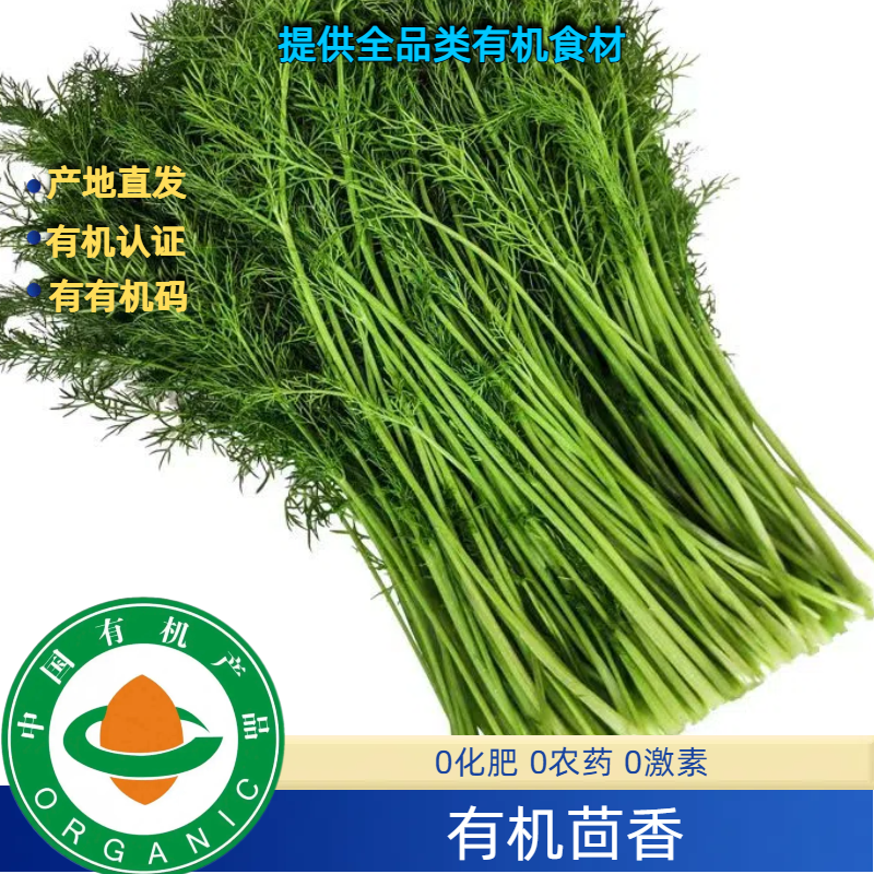 有机认证有机茴香3斤顺丰现摘现发，鲜有机无农残安心绿色蔬菜