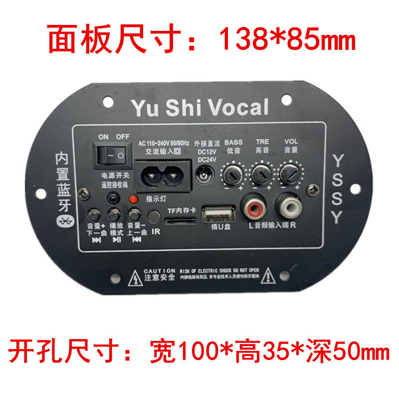 YS二用5寸6寸蓝牙功放板 12V低音炮数字功放220V家用通话扩音主机