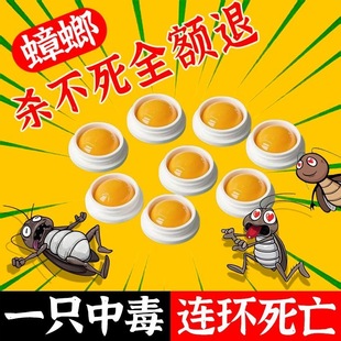 厨房强力灭杀蟑胶饵除蟑神器 蟑螂药一窝全窝端家用室内非无毒正品