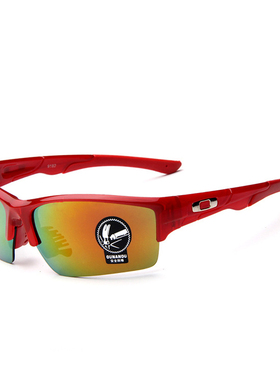 骑行太阳镜男开车防紫外线