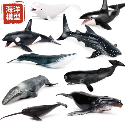 儿童认知仿真鲸鲨海洋塑胶