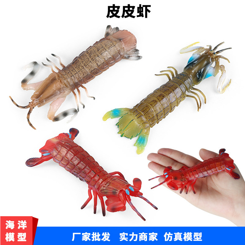 儿童仿真皮皮虾海洋生物动物模型濑尿虾虾姑生腌早教鱼缸摆件玩具